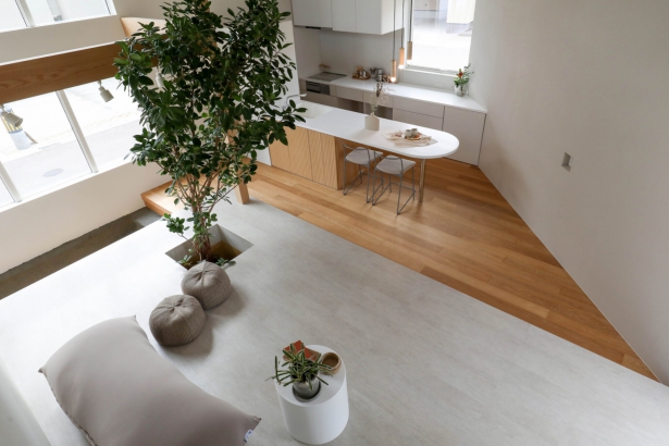   株式会社 家元 IEMOTO  | 富山 デザイン注文住宅の施工事例 美しい緑陰を描く「樹と暮らす家」